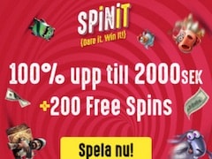 Spinit